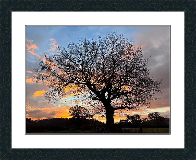 Landscape Print - Image 23