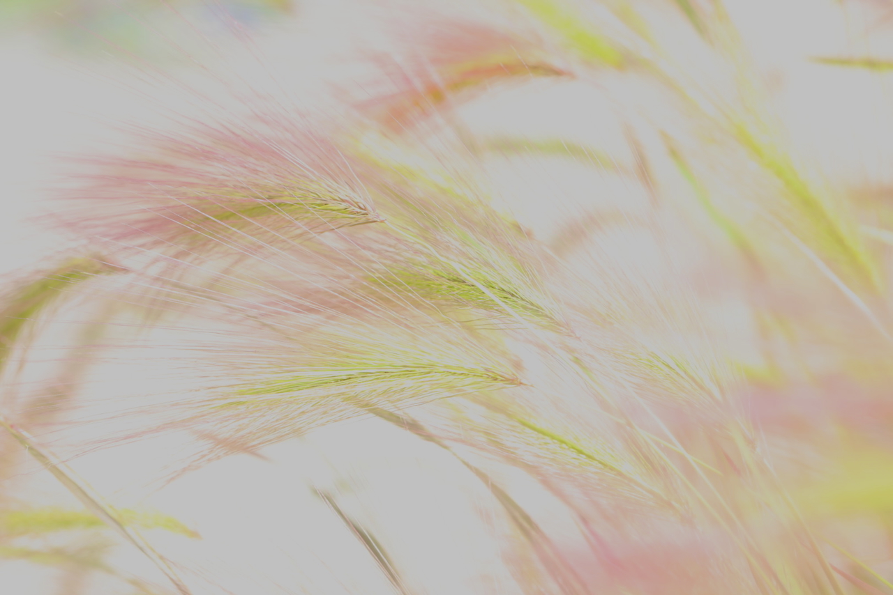 Landscape Print - Image 6